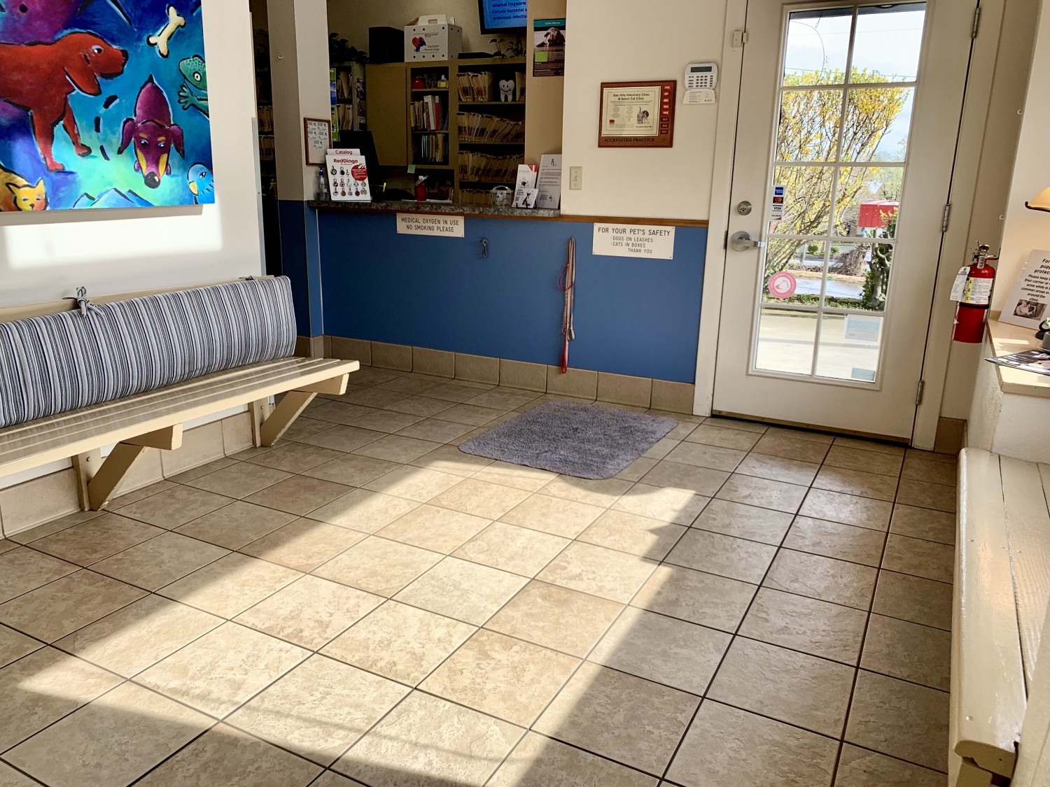 Canine Ward